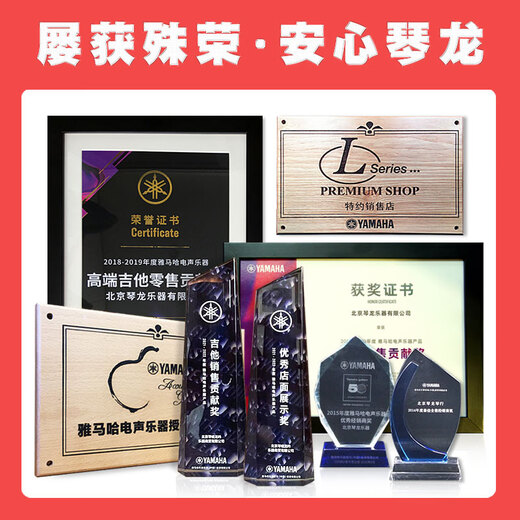 Yamaha (YAMAHA) second generation THR10II WL guitar speaker charging wireless Bluetooth electric acoustic guitar bass THR30A electric box playing and singing 10-watt electric guitar basic model THR5