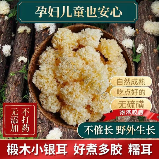 Schwangere Frauen im frühen Yunnan, Nettogewicht, getrocknetes Lindenholz-Tremella, schwefelfreie kleine Knospen aus weißem Pilz, authentischer Schneepilz und klebriger Pilz, weich und klebrig, hoher Berg 6554 Meter, feines Lindenholz-Tremella 25053 Gramm, etwa 49 Knospen