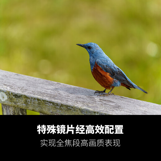 Tamron A067S 50-400mm F/4.5-6.3 Di III VC VXD anti-shake portrait concert ultra-telephoto Sony full-frame lens (Sony full-frame E-mount)