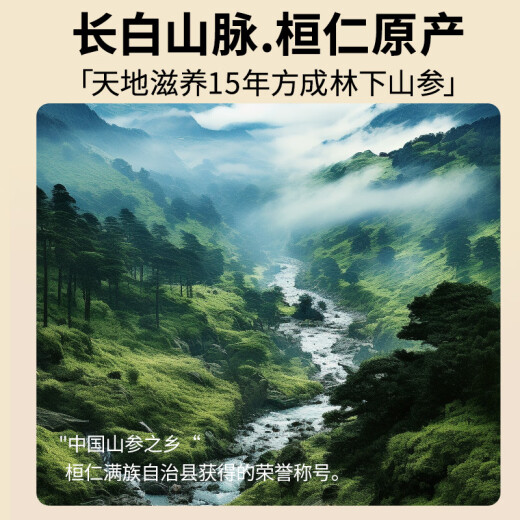 Beijing Tong Ren Tang ginseng forest mountain ginseng gift box 1.51-2.5g/B wild ginseng pruned for more than 15 years and soaked in wine tonic for parents and elders as gifts