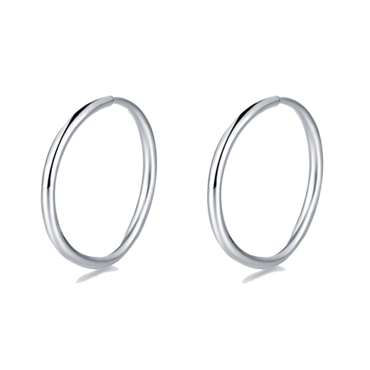 Jamie PT950 platinum earrings simple style pt950 platinum round earrings as a gift for my wife and girlfriend - a pair of platinum earrings