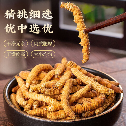 同芙 冬虫夏草断草10g约20根 全虫大号纯肉节 滋补营养补品自食性价比