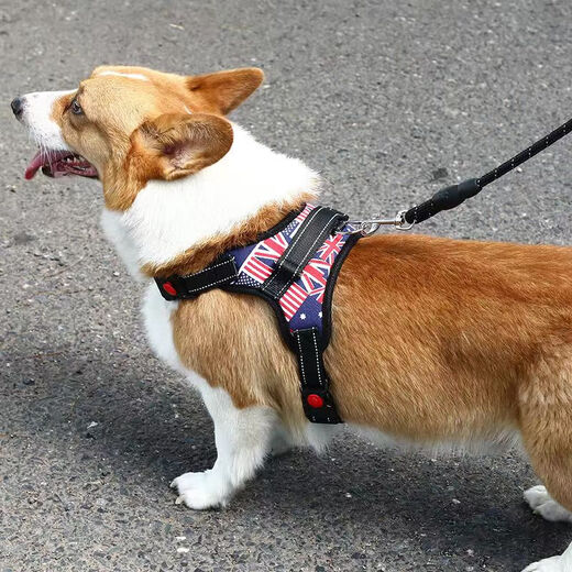 PPO dog leash vest type dog walking rope Teddy Corgi dog leash medium-sized dog small dog pet harness chest harness + 2 meters rope red S code suitable for 10-18 Jin Jin is equal to 0.5 kg.