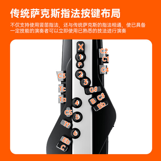 Roland (Roland) AE20 Tubo de cabello eléctrico Saxofón de saxofón tubo de soplado para adultos Instrumento de soplado de tubo de ancianos para adultos + bolso de piano + auriculares