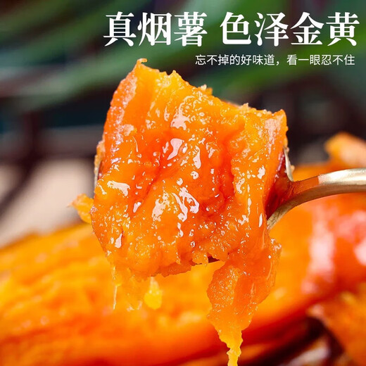 Freshly dug tobacco sweet potato, sweet potato with sweet heart, fresh air fryer roasted sweet potato, farmhouse sand red heart sweet potato, authentic tobacco potato No. 25, 2Jin Jin is equal to 0.5kg, with box, small and medium-sized fruits (single fruit 50g-150g)