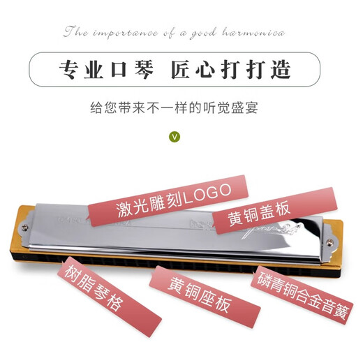 Tongbao Tongbao Harmonische echte 6624S Polyphonische Anfänger C-Tuning High-End-Performance-Aufzeichnung von Artefaktprofessionalinstrument 12-Tuning 24-Loch #F-Tuning (polyphonische 24-Loch)