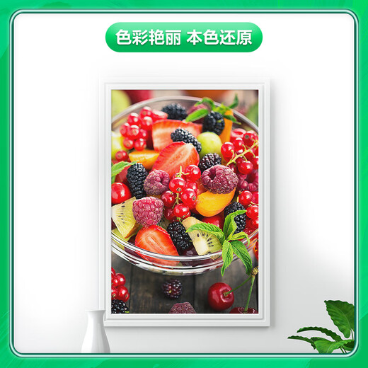 bt6009 bt5009墨水适用兄弟T425 T420 T220 T710 T510 T310 【四色墨水套装】约打20000页