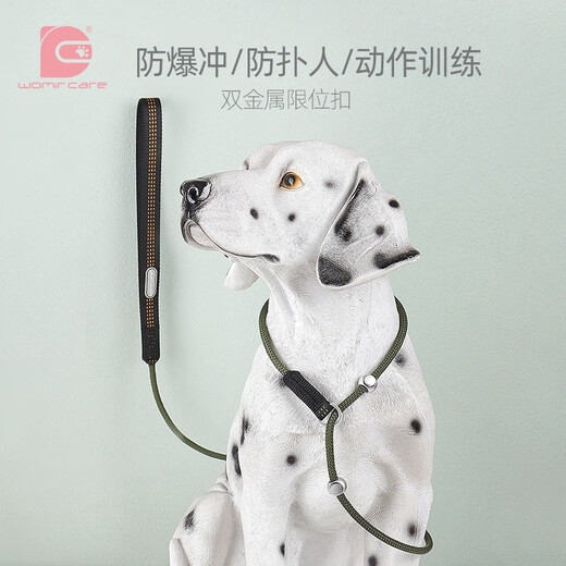 WOMIR CARE dog leash leash small dog medium dog p leash special rope for dog training puppy p chain large dog explosion-proof dog walking leash military green - thick 8mm double plastic positioning buckle total length 1.5 meters [suitable for training + dog walking]