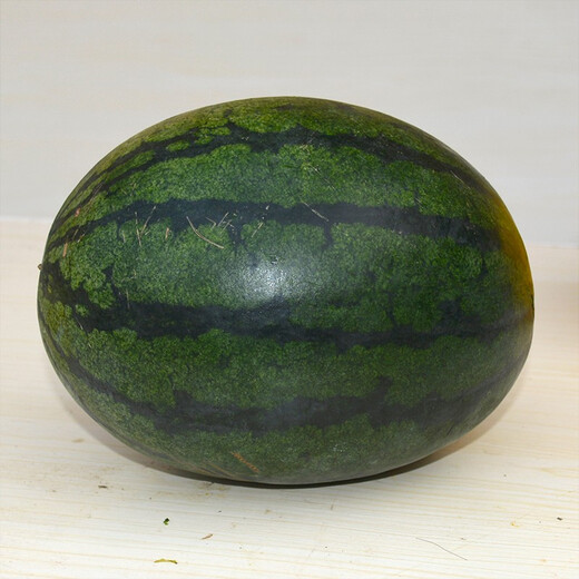 Zhongke Maohua vegetable and fruit seeds Rainbow No. 2 gift watermelon seeds super sweet small pulp delicate picking garden seeds Rainbow No. 2 100 capsules 5 packs