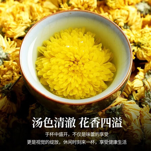 
Chen Yifan Tea Chrysanthemum Tea Golden Ruby Emperor Chrysanthemum Chrysanthemum Tea can be used as wolfberry honeysuckle herbal tea bags with about 500 flowers