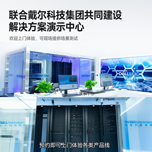 戴尔（DELL）PowerEdge R750XS/R760XS机架服务器主机DeepSeek深度学习虚拟化数据库人工智能刀片式整机 R740（1*银牌4210R 10核20线程） 16G丨1*1T S