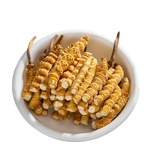 【支持质检】10克大断草正宗冬虫夏草断草虫草断草自食滋补正品 虫草大断虫草 30克装送三克发33克