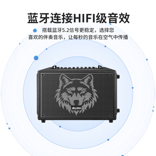 Ellip SE300 audio outdoor karaoke live broadcast internal recording electric blowpipe saxophone guitar singing audio mobile portable high-power Bluetooth stage performance speaker official flagship SE300 forest green + CQA3318 microphone