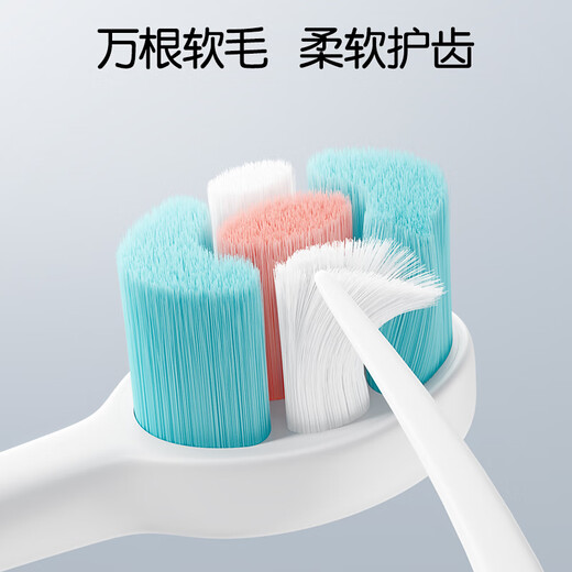 Dinosaur Doctor (PROTEFIX) Children's Toothbrush 1-3-6 Years Old Baby Toothbrush Toothpaste Soft Hair Baby Toothbrush 1-2 Years Old Baby Toothbrush Cartoon Car Rabbit