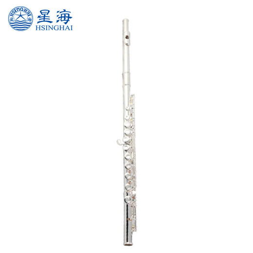 星海长笛镀银C调16键闭孔 E键长笛初学 专业院校考级乐器 16闭孔C调镀银E-181