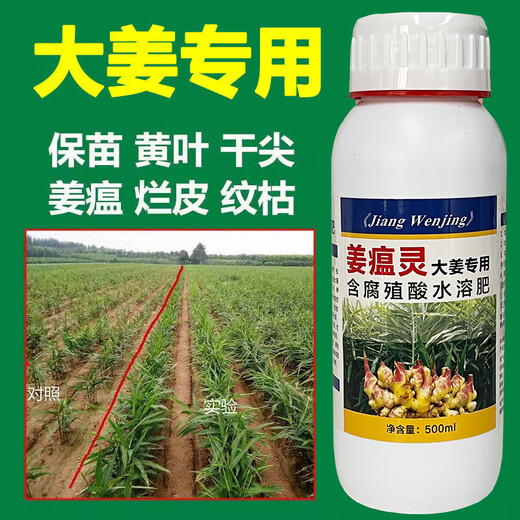 Special pesticide for ginger disease, ginger fungicide, ginger fungicide to prevent and control ginger blast, root rot, soft rot, 500ml/20 bottles
