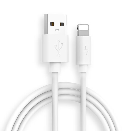 光界适用苹果iPadAir数据线快充闪充A1474平板电脑速冲通用A1475/A1476加长短款USB充电器线插头 苹果快充线【白色】+10W快充头 1米