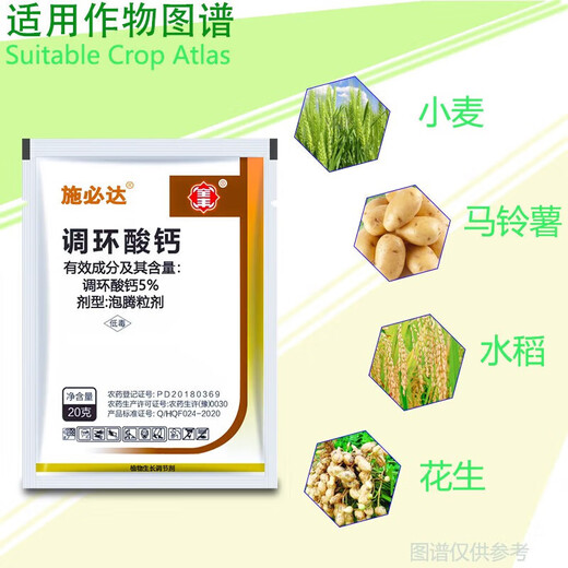 Spidet 5% prohexadione calcium strawberry pepper eggplant control flourishing shoots dwarf seedling pressure pesticide growth regulator 20g