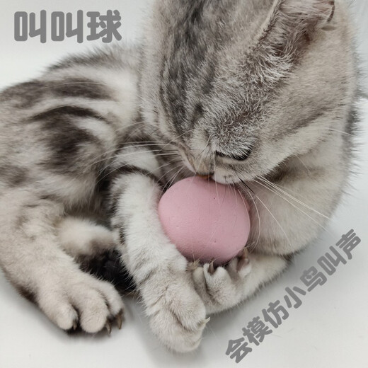 Mibei Meng Gravity Call Ball Makes Sound to Amuse Cat Toy Ball Birdie Calls Cat Mint Amuse Cat Artifact Cat Toy 3 Plush Balls (One of Each Kind) One Size