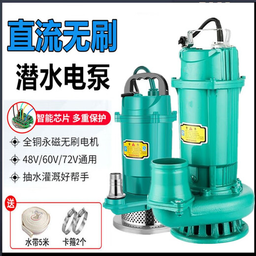 Pupan Pompe submersible DC à débit élevé Pupan 48V60V72V Légumes d'arrosage 3 pouces 4 pouces petits 1 pouces 4872V universel 400W7 mètres
