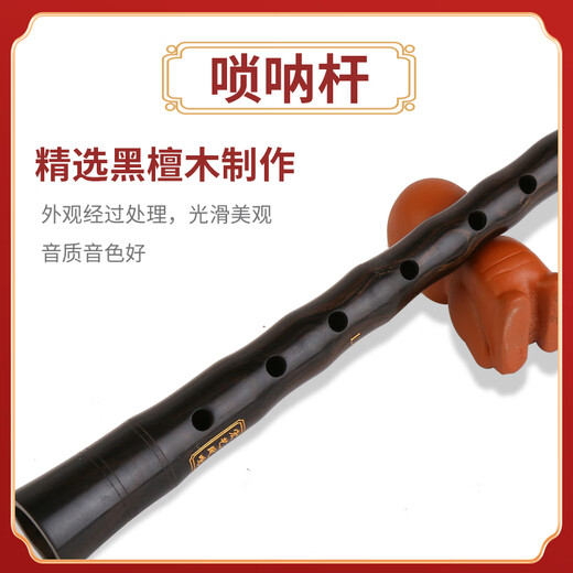 Hongyi Fengming (HongYiFengMing) Ebony D-tune Gold Bowl for Adult Beginner Tutorial Music Score Suona Complete Set