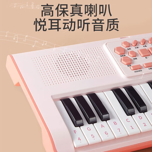 乐乐鱼（leleyu）37键电子琴儿童玩具乐器初学者早教带话筒小钢琴男女孩生日礼物