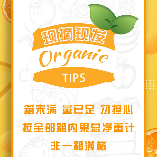 京鲜生 四川爱媛38号果冻橙 净重4.5-5斤 单果140g+ 源头直发包邮