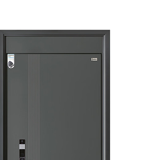 Sodelphi A-8802 Class A anti-theft door security door entry door smart door single door