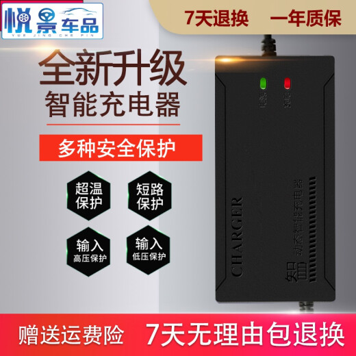 桐汝壁适配 新蕾电动车充电器4812AH6020AH 7232AH电车三轮车通用 4840AH 通用T型