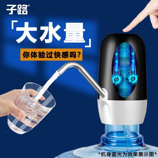 Zilu Electric Bottled Water Pump Automatic Water Adder Household Water Filler Water Pressure Pump Large Barrel Water Suction Dual Pump Black Basic Model + Stainless Steel Pipe