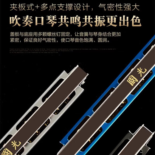 国光进口音簧国光28孔口琴重音复音C调高级成人初学入门专业演奏口琴 典藏版24孔亮黑色重音【音标款】