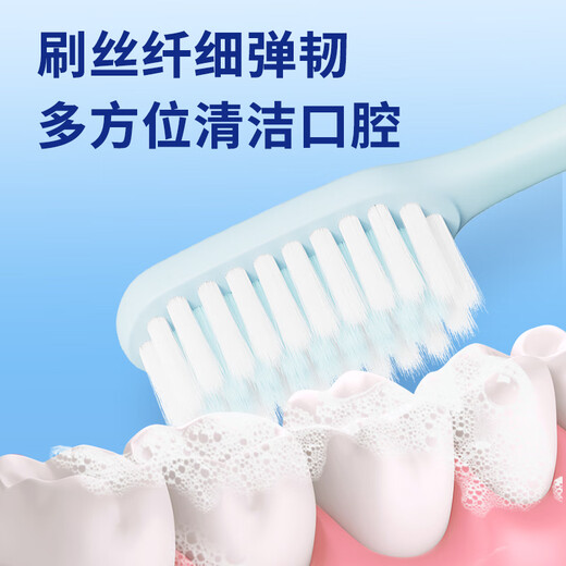 Frog Cepillo de dientes para adultos Fine Soft Gum Protection Family Family Soft Bristle 2 (Embalaje independiente)