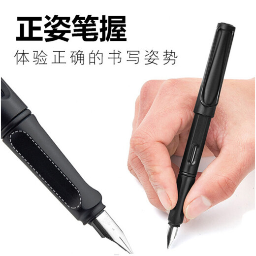 Rotten Pen Tip 2 Pack Pen 757a para estudiantes de la escuela primaria y secundaria de los dibujos animados para principiantes masculinos y femeninos que practican la caligrafía con tinta fina de tinta de tinta con tinta de doble propósito, gris dorado de pluma dorada de lápiz, 2 paquete oscuro 0.38 (50 saqueos de tinta azul y negro)