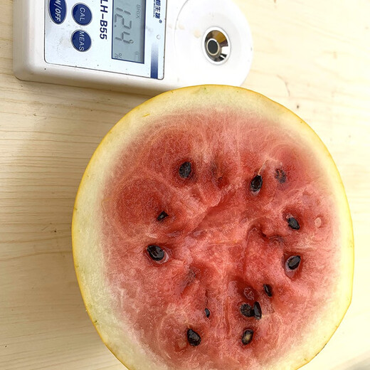 Zhongke Maohua Fruit Seeds Jin Linglong Golden Handsome Watermelon Seeds Yellow Skin Red Flesh Gift Watermelon Seeds Small Super Sweet Picking Garden Zhongke Golden Handsome 100 capsules/bag