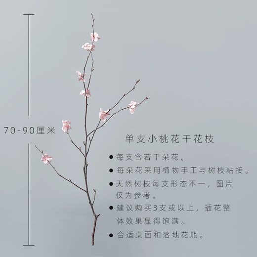 Aesthetic Hacker Handmade Birch Trunks Mountain Twisted Magnolia Branches Bouquet Living Room Decoration Dried Flowers Real Flowers Flower Arrangement Home Interior One Peach Blossom