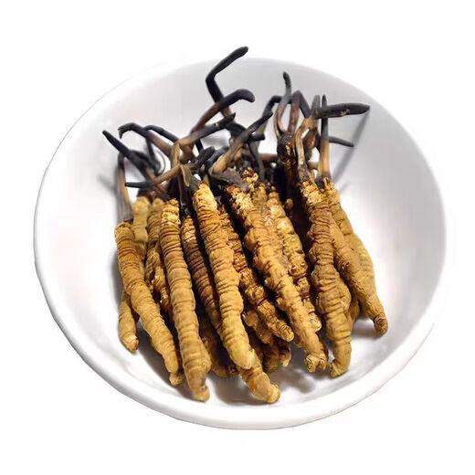 
Cordyceps sinensis, high-altitude cordyceps dry goods in Tibetan areas, nourishing gift box, 2 sticks per gram, 20 sticks gift box