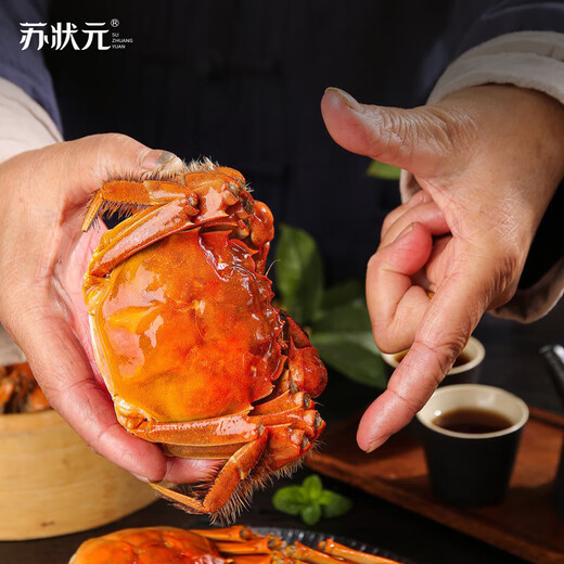Live crabs Su Zhuangyuan fresh hairy crabs in stock all male crabs 5.0-5.3 taels 8 fresh crabs with ropes and heavy seafood gift boxes sent directly from the source
