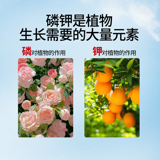 芭瑟曼薇99%磷酸二氢钾通用型花肥料家用植物花卉蔬菜园林盆栽叶面磷钾肥