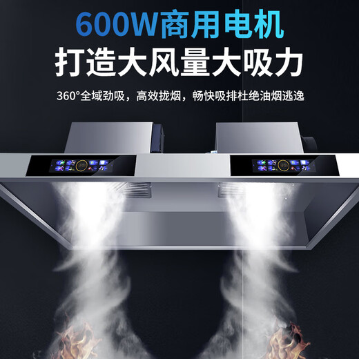 ZHENSHIDAI [Prise en charge Installation sur place] Machine intégrée Purificatrice de hottes commerciales, grande aspiration rurale de terre rurale Stove Firewood Stove Restaurant Canteen Restaurant Férum de Fume en acier inoxydable respectueux de l'environnement 120 * 80 * 45cm (modèle clé 680 Watt Single Van) Self-install (modèle phare)