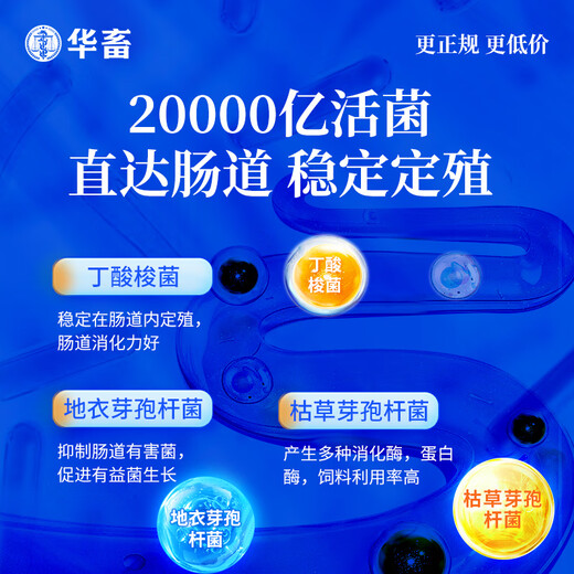 Huaxiu Veterinary Live Bacteria plus Enzyme Probiotics Appetizer Fattening Conditioner Intestinal Ammonia Removal Poultry Feed Additive for Pigs Test Model Do Not Shoot