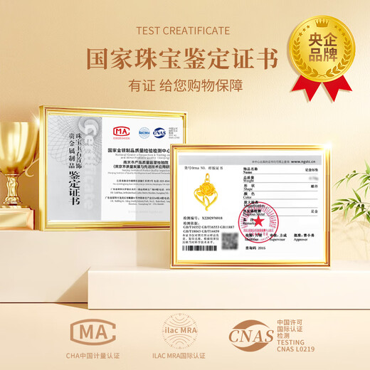 CHINA GOLD Carnation Gold Necklace Women's Foot Gold Pendant Birthday Gift for Girlfriend Wife Mom Elders Memorial Day Practical Carnation Pendant + Free Gold Silver Chain