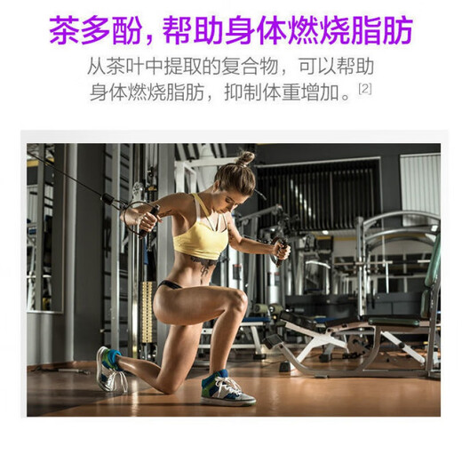 汤臣倍健左旋肉碱茶多酚减肥瘦身 左旋肉碱茶多酚荷叶片40片成年男女士运动 左旋30片*3瓶
