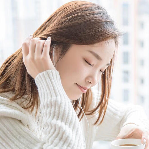 Sounder wired earphones suitable for vivo mobile phones Xiaomi Huawei oppo Android Apple laptop tablet universal Type-C interface round hole earplugs headset wired control with microphone sound quality upgrade standard