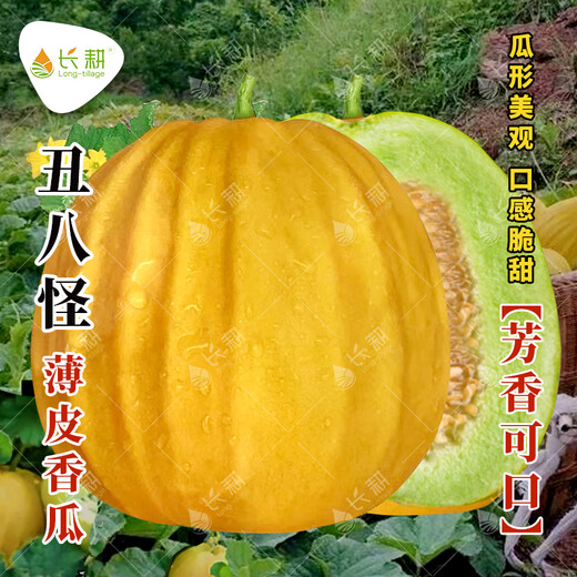 Long-cultivation ugly thin-skinned cantaloupe seeds spring and summer prismatic melon seeds golden melon seeds fruit and vegetable seeds collection Ugly thin-skinned cantaloupe 5g * 2 packs