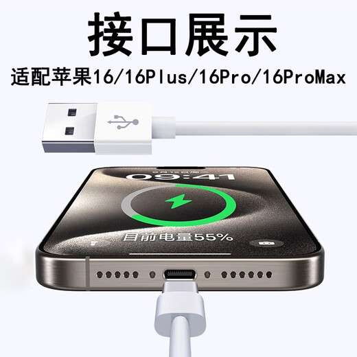 光界适用苹果16Plus数据线iPhone16Plus手机闪充快充充电器线A3291连接电脑USB传输刷机备份线Type-C TypeC白色快充线1米 苹果16ProMax