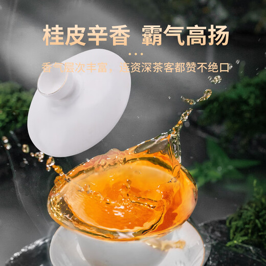 传奇会乌龙茶 武夷岩茶 肉桂 特级500g 中火礼盒装大红袍茶叶送礼礼品