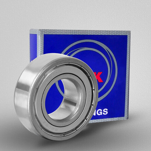 NSK日本轴承6213 6214 6215 6216 6217 6218 6219 6220DDU ZZ  其他 6218-ZZ-铁盖密封