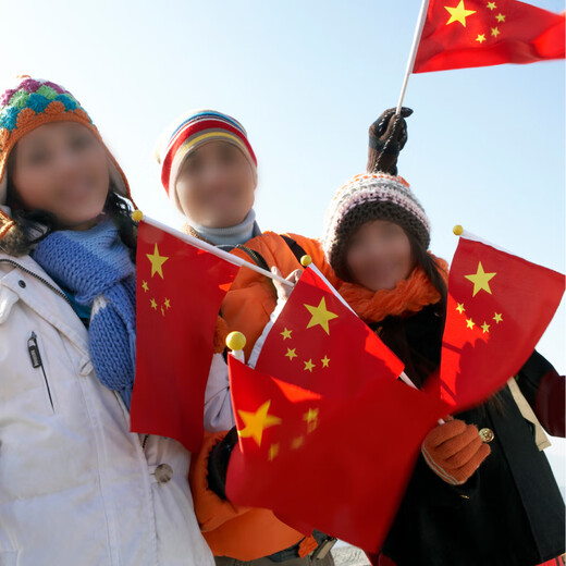 优和（UHOO）国庆 7号小国旗手摇小国旗小红旗中国小五星红旗小旗子带杆小旗杆（10面+10杆+32贴纸）6197-1