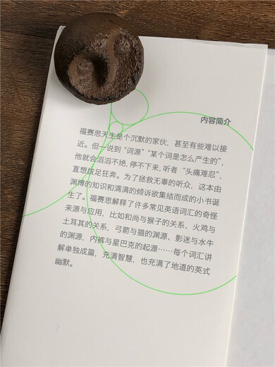 Vielleicht werden Sie nach der Lektüre dieses Buches zum Schwätzer (eine super lustige und seltsame englische Etymologiegeschichte).