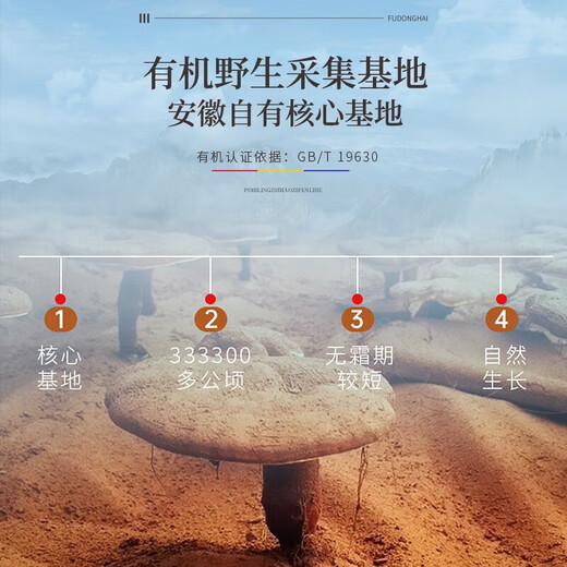 福东海 破壁赤灵芝孢子粉【有机认证】礼盒中老年滋补增强免疫礼品 【增强免疫】给父母一份健康礼100克